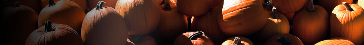 pumpkins pumpkins