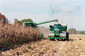 Harvest Corn harvest photo