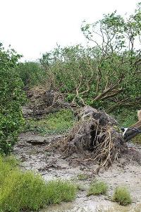 Florida damage Florida Hurricane damage