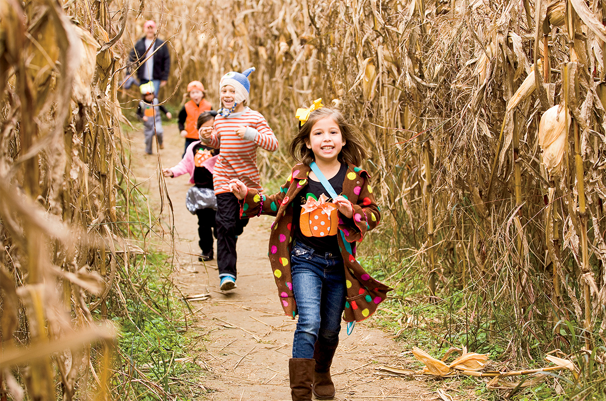 Children running through a corn maze.