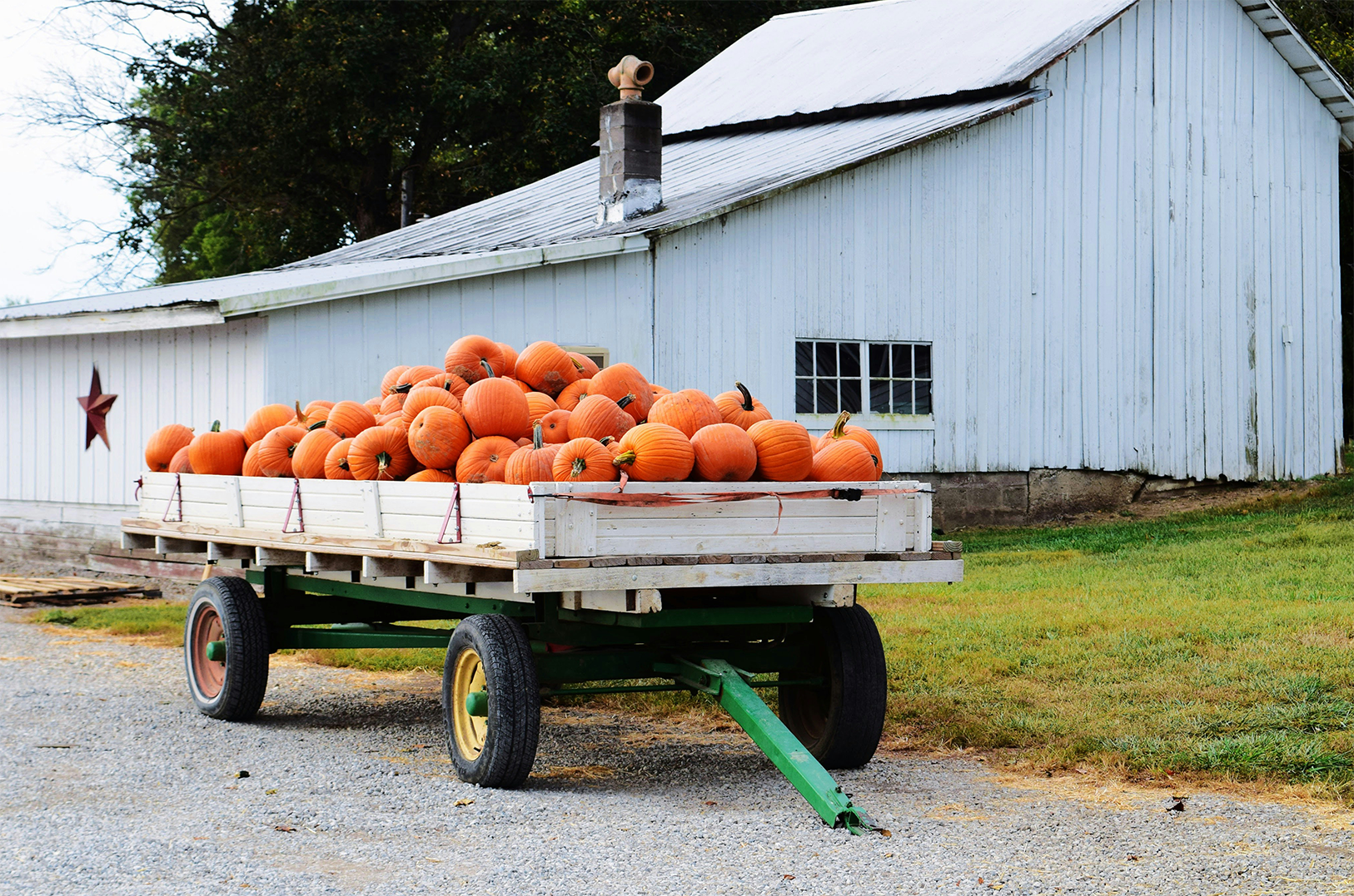 A wagon full of pumpkins on a farm in Columbus, Indiana.