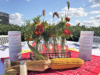 Wayne County_SummerHarvestSupper_decorated table