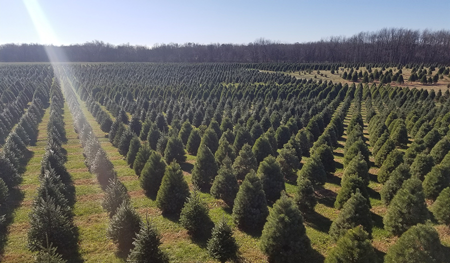 The Voice of Indiana Agriculture_Fall 2018 The Voice of Indiana Agriculture_Fall 2018