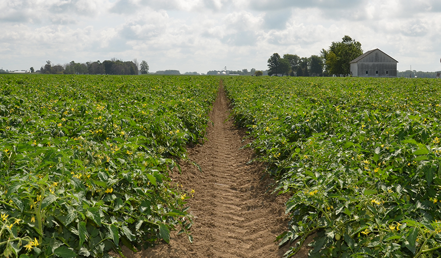 The Voice of Indiana Agriculture_Summer 2018 The Voice of Indiana Agriculture_Summer 2018