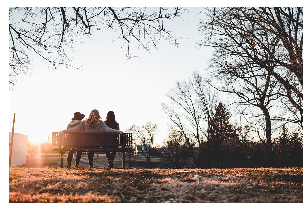 three-person-sitting-on-bench-under-withered-trees-2645707 - border