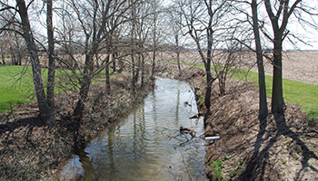 Conservation_Watersheds_School Branch