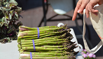 Farmers Market_Original City Market-Indy_Asparagus