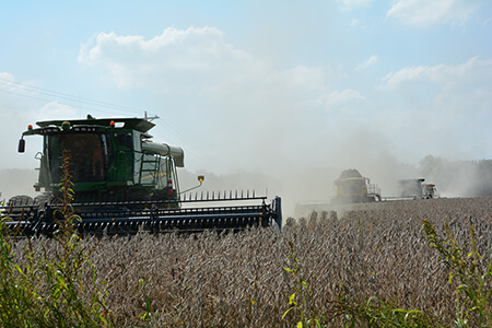 1Growing hope-boone_co_harvest