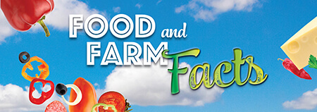 Food-Farm Facts_Image