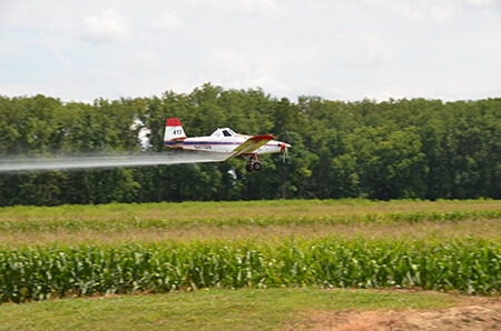 Helicopter tour-DSC_1267