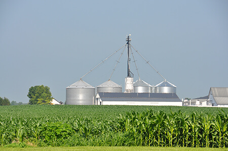 Livestock controversies-farmstead