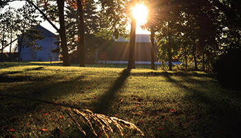 Rural Preservation_grain bin and building