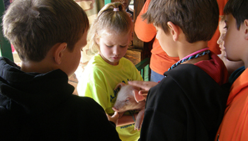 Indiana AITC_AgDay_Kids and piglet