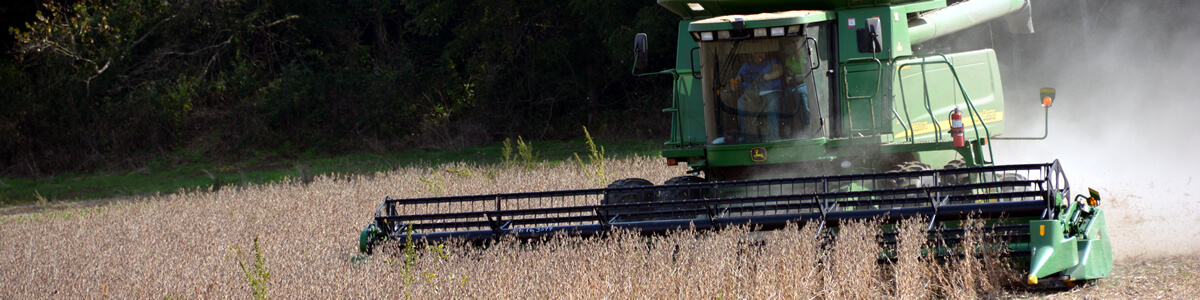 harvesting harvesting