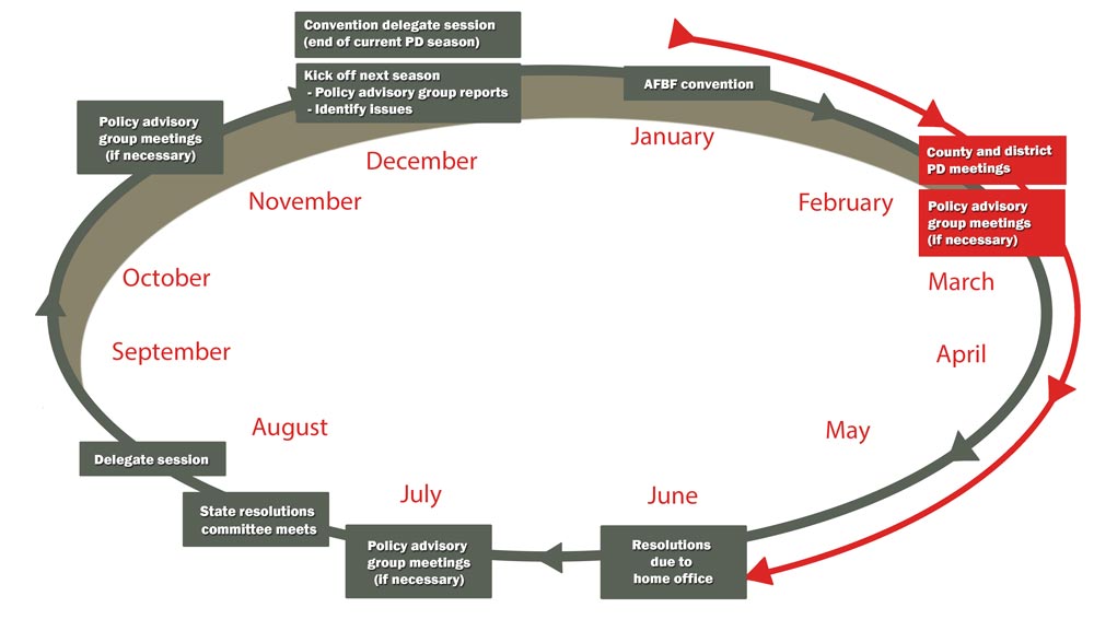 Policy Calendar Graphic